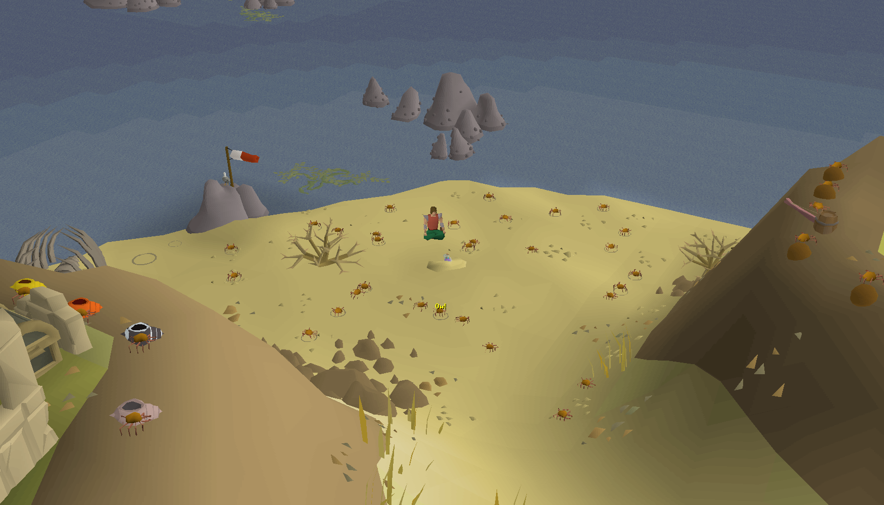 Crabs converging on the Dognose Island beach for the ceremony